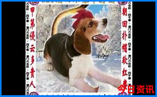 南昌必去的5个免费景点
